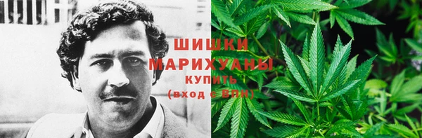 тгк Лиски